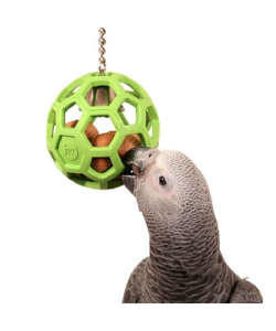 Hol-ee Roller - Foraging Toy for Parrots
